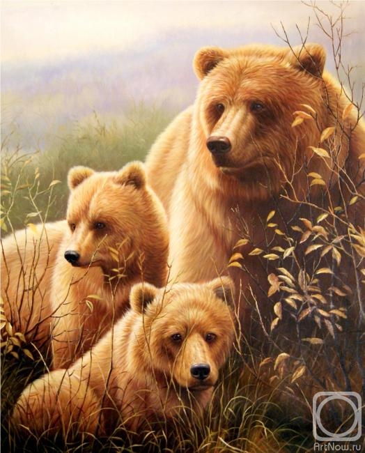 Smorodinov Ruslan. Bears