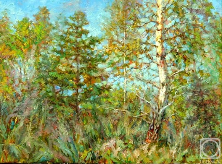 ������� ������ �� ������. ������ �������. ����������� ������