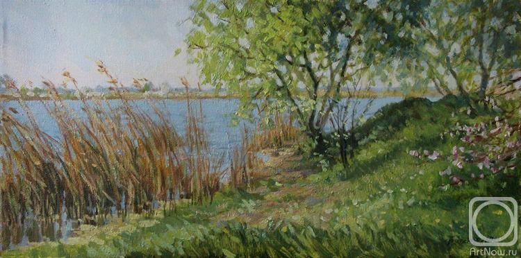 Bychenko Lyubov. April. First green