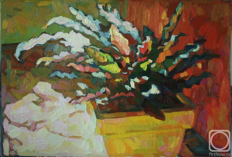 �������. �������� ������. �������� ���������