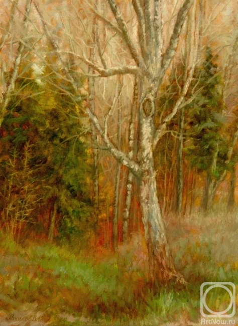 ������� ������ �� ������. ������ �������. ������ "��������"