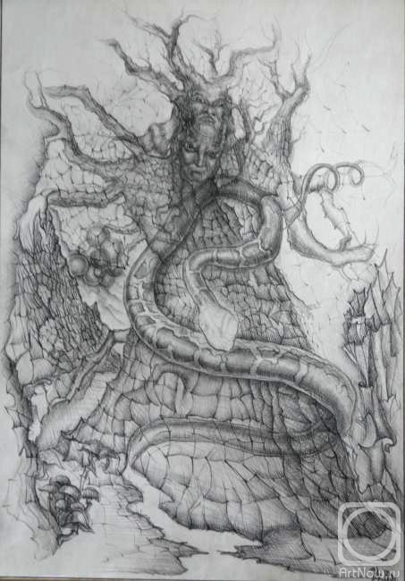 �������. ������ �������. ����