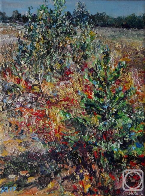 ������� ������ �� ������. ������ �������. ���������� ���