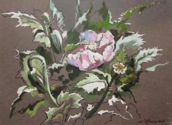 ������� �����