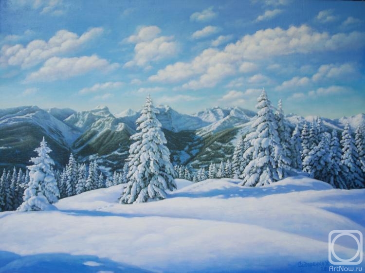 Sidorenko Shanna. Winter landscape