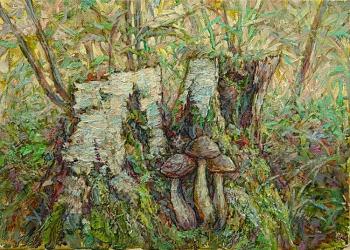 Mushrooms in the natural environment. Meshkov Valery