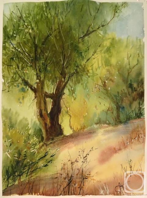 �������. �������� �����. �����