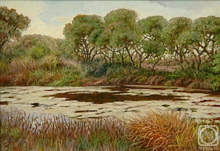 ������� ������ �� ������. ������ �������. ������