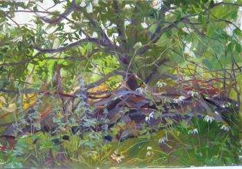 ������� �� ������ (����)�