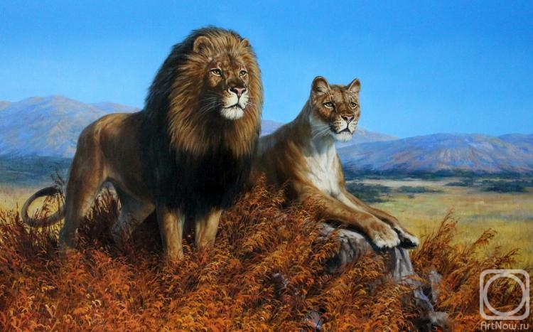Danchurova Tatyana. Savannah (lion with lioness)