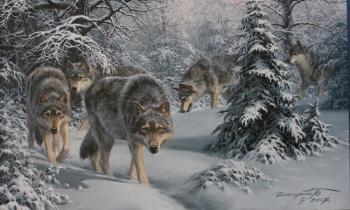 On the Trail (Pack of Wolves). Danchurova Tatyana