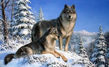 Para& (wolf with wolf). Danchurova Tatyana