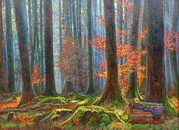 ������� ���� ������, ���...�