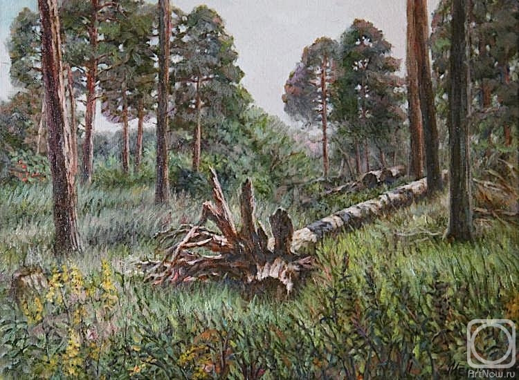 ������� ������ �� ������. ������ �������. ������ ������