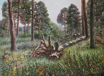 ������� ������� ������