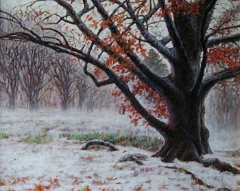 ������� ������� ������ "����������"�