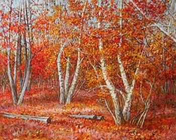 ������� �������� ������