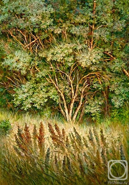 ������� ������ �� ������. ������ �������. ������ ������