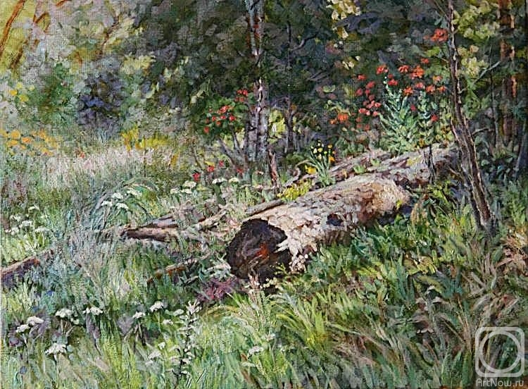 ������� ������ �� ������. ������ �������. � ����� � ������