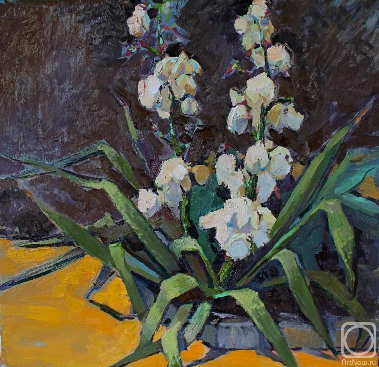 ������� ������ �� ������. ������� �������. ���