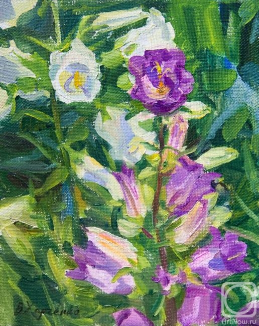 ������� ������ �� ������. �������� ��������. ������������