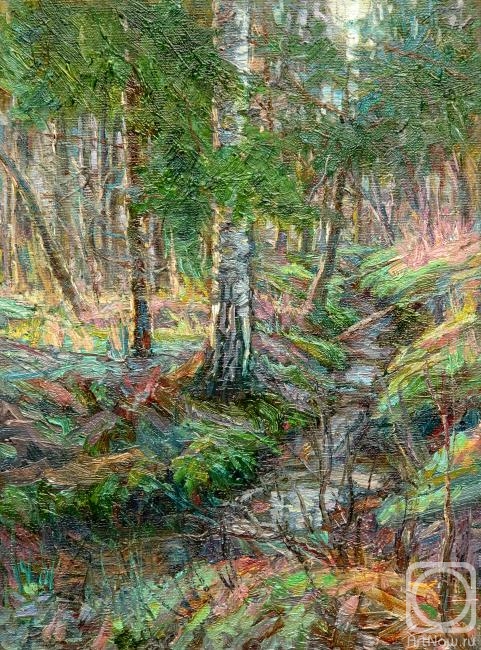 ������� ������ �� ������. ������ �������. ������ ���������