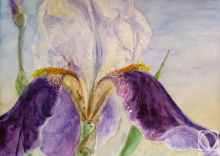 �������. ������ �������. �����