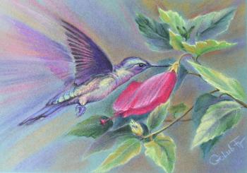 Hummingbird. Golub Tatyana