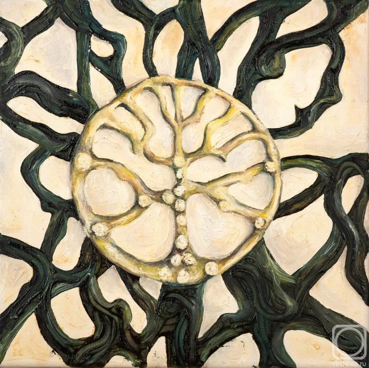 ������� ������ �� ������. ���������� �������. ������