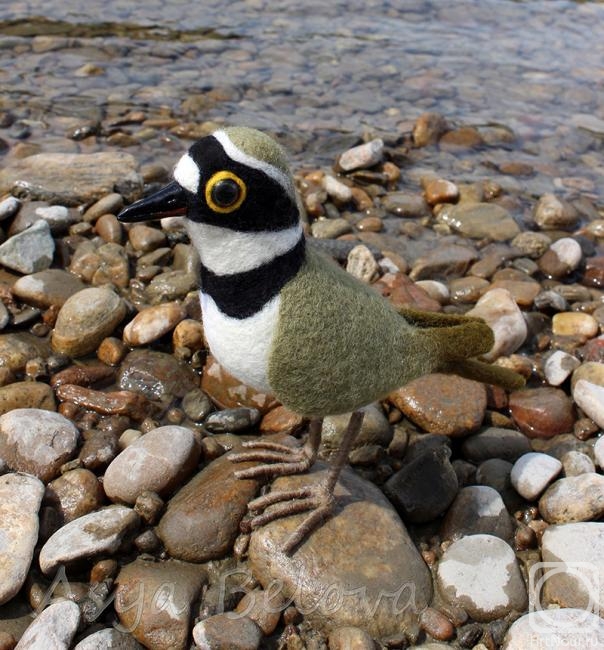 ������ ���. ���