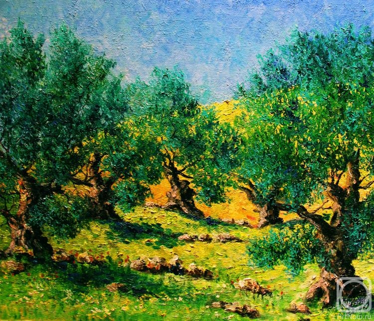 Konturiev Vaycheslav. Old-old olive grove