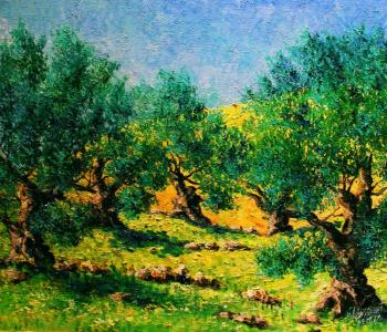 Old-old olive grove. Konturiev Vaycheslav