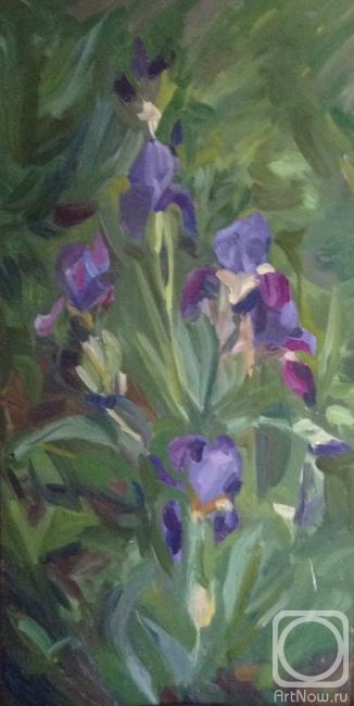 Shenec Anna. Purple irises