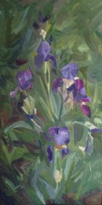 Purple irises. Shenec Anna