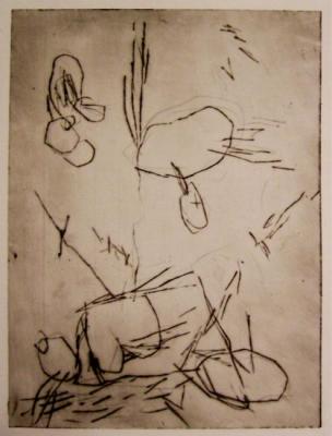 ������� ���� ���������