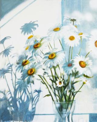 Daisies and sunlight
