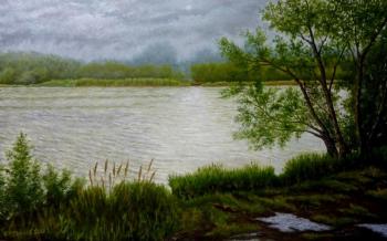 The river Sura. Rain. Stroynov Vitaly