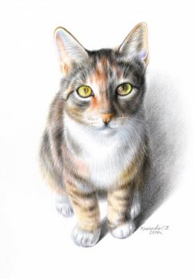 ������� ������