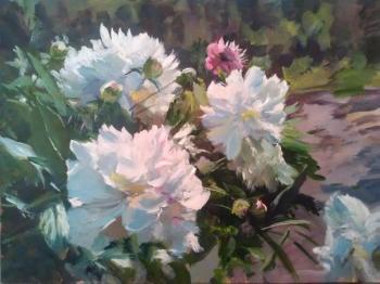 ������� ����� ������