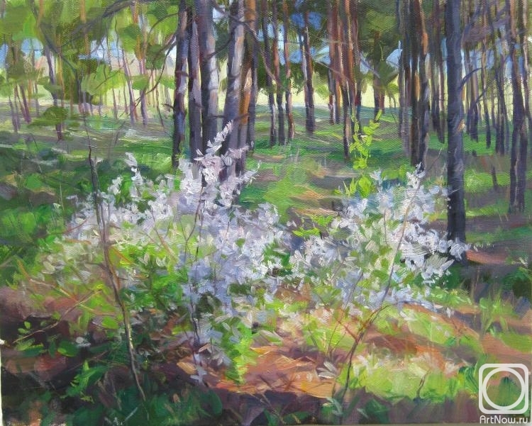 ������� ������ �� ������. ������� ��������. ����� �����