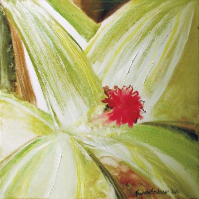Aloe. Petrovskaya-Petovraji Olga
