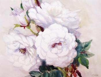 ������� ������ ����� ���� �����