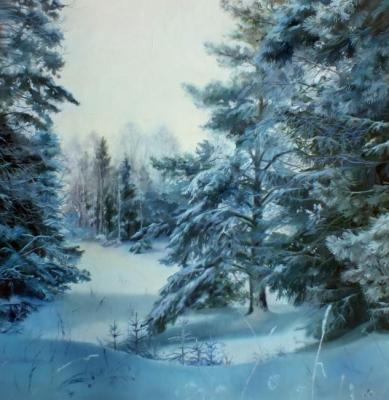 Seltynskiy log. Winter. Odnolko Natalia
