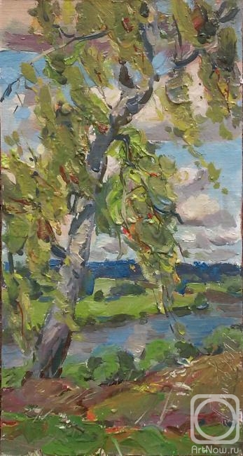 Arepyev Vladimir. Old birch on the river Bank
