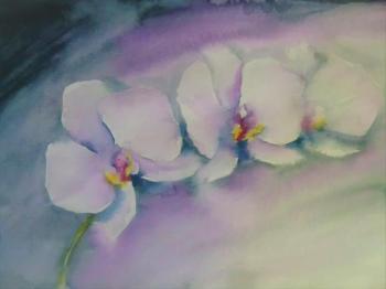 Orchids in the morning. Orlov Andrey