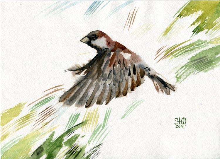 �������. ��������� ����. ���� �������