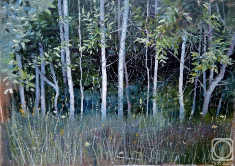 �������. �������� �������. ������