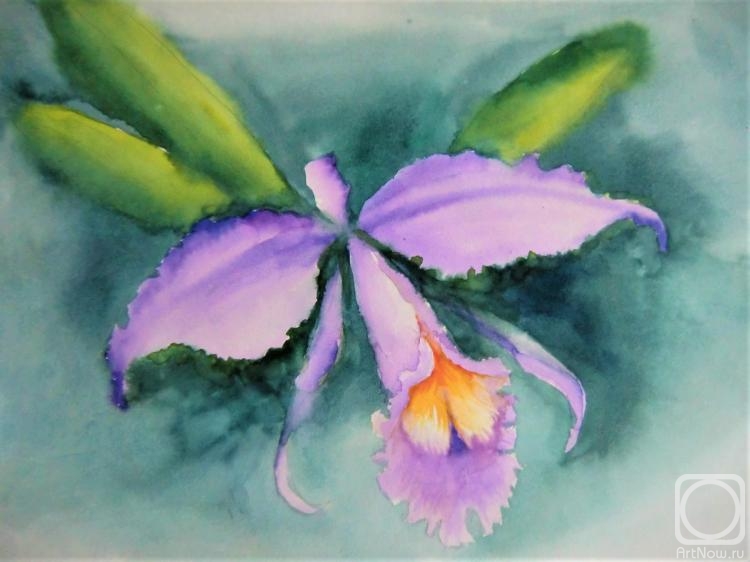 Orlov Andrey. Orchid