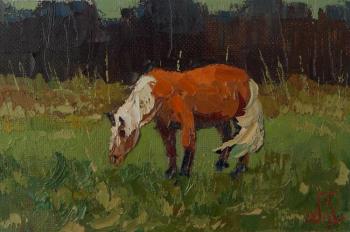 ������� ��������