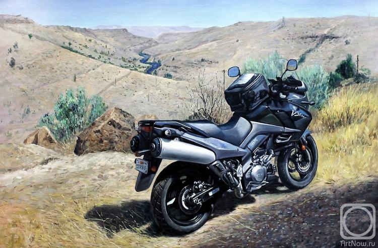 Romm Alexandr. A motorbike in the mountains